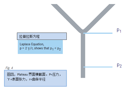 圖四，Plateau界面橫截面